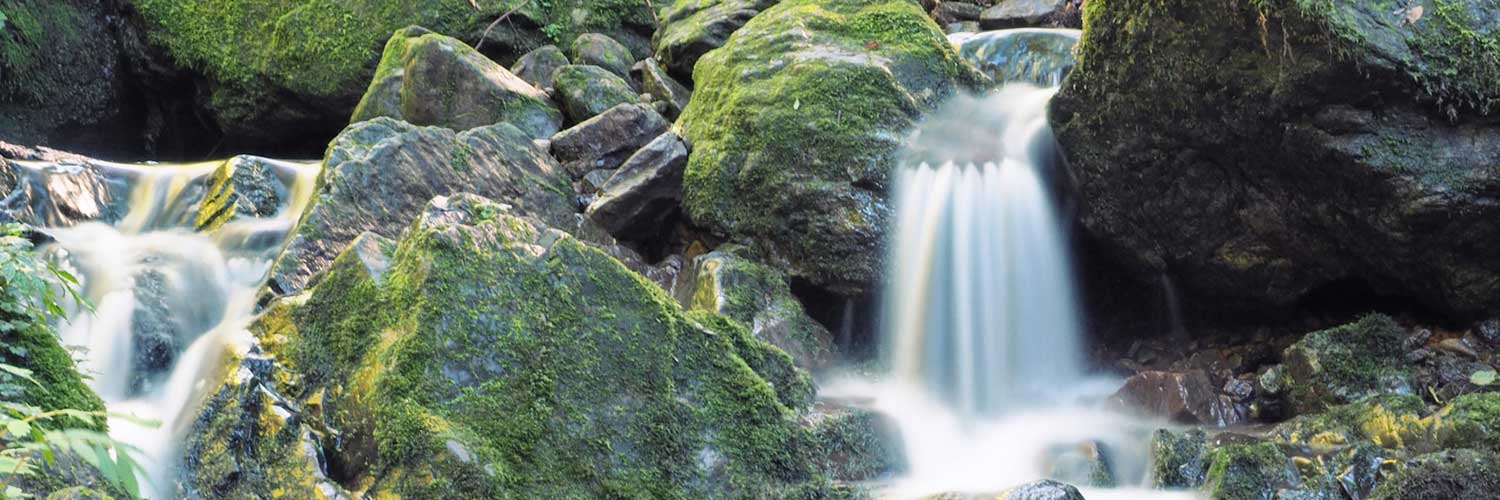 Zukunftsmarkt sauberes Wasser